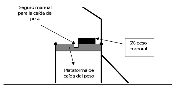 Sistema mecánico utilizado para la perturbación postural